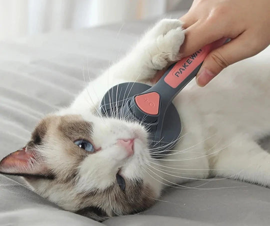 Pet Grooming Brush