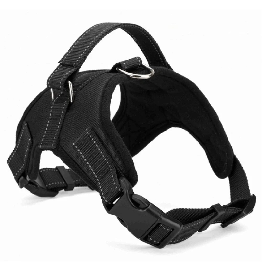 Adjustable Dog Harness Collar for Secure Fit & Comfort